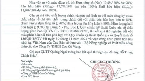 Các chỉ tiêu của phân bón NPK 20-10-10 Con Cò Vàng đạt và vượt chất lượng