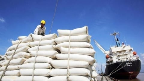 Thủ tướng yêu cầu tăng cường các giải pháp thúc đẩy sản xuất, xuất khẩu và ổn định thị trường lúa gạo