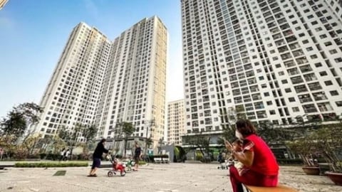 Nhà ở xã hội, nhà cho thuê là 'trụ cột' chiến lược an sinh xã hội