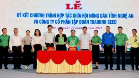 Hội Nông dân Nghệ An và ThaiBinh Seed hợp tác phát triển nông nghiệp