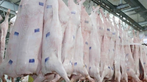 Xử phạt Công ty Minh Hiền 320 triệu đồng vì vi phạm bảo vệ môi trường