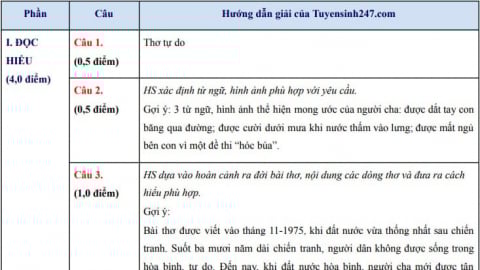Gợi ý đáp án môn Văn thi vào lớp 10 THPT ở Hà Nội năm 2025