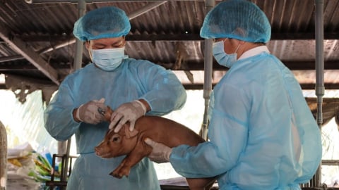 Dấu ấn 75 năm xây dựng và phát triển ngành Thú y Việt Nam