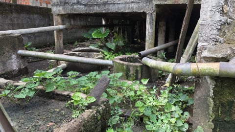 Chăn nuôi nông hộ thiếu trách nhiệm và nỗi lo ô nhiễm môi trường