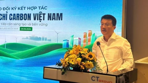 Rừng ngập mặn Cần Giờ có thể tạo ra 5 triệu tín chỉ carbon mỗi năm