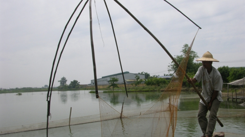 Nhịp cầu nhà nông