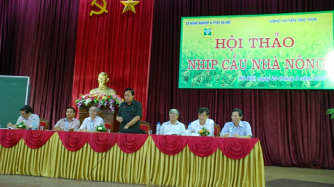 Nhịp cầu nhà nông 'bắc' ở Ứng Hòa