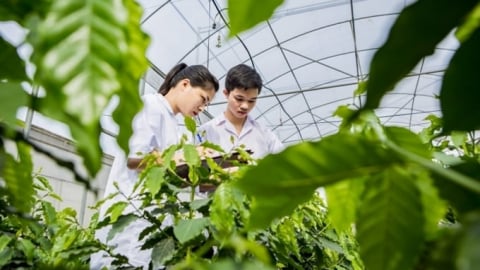 Học viện Nông nghiệp Việt Nam tuyển sinh 120 chỉ tiêu tiến sĩ 2025