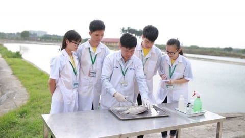 Học viện Nông nghiệp Việt Nam vươn lên thứ 5 trong bảng xếp hạng Scimago