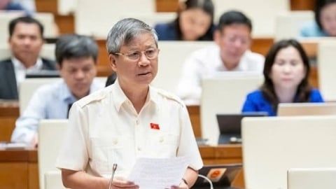 Tăng thuế thuốc lá cao và tăng thường xuyên là 'chính sách cùng thắng'