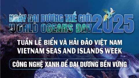 Cộng đồng hưởng ứng Tuần lễ Biển và Hải đảo Việt Nam 2025