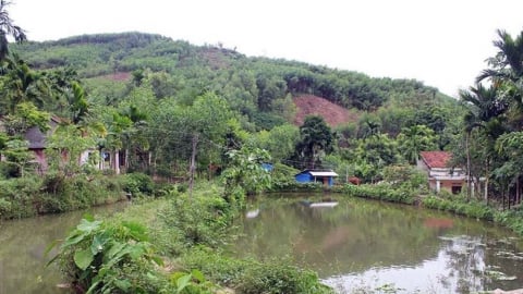 Chuyển mục đích sử dụng đất:  [Bài 2] Người dân cần cân nhắc