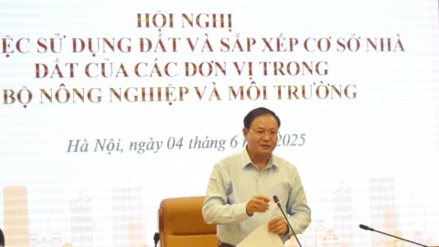 Sử dụng đất, sắp xếp cơ sở nhà đất phải đúng, tiết kiệm, hiệu quả