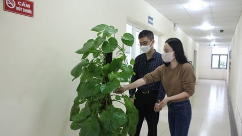 87% công đoàn cơ sở triển khai xây dựng môi trường làm việc không khói thuốc