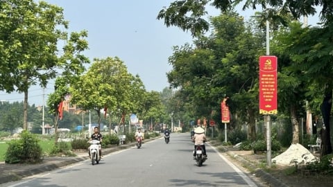 222 dự án được rà soát sau 1 tháng vận hành chính quyền hai cấp