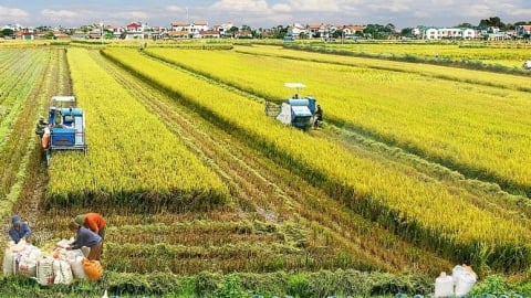 80 năm quản lý đất đai [Bài 1]: Đổi mới chính sách cho tam nông