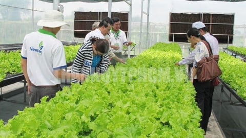 Đô thị hóa nông thôn - nền tảng cho quản trị hiện đại và bền vững