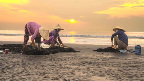 Người đi về phía biển