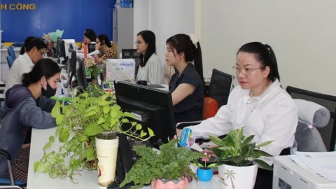 Vĩnh Long: Tiếp nhận hơn 26.800 hồ sơ của người dân, doanh nghiệp