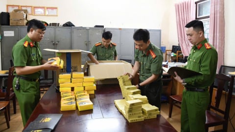 Bắt giữ 4 đối tượng cầm đầu đường dây đa cấp xuyên quốc gia