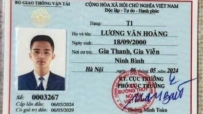 Dùng giấy chứng nhận chuyên môn giả để làm thuyền trưởng