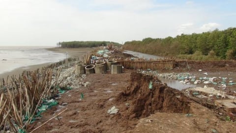 Xói lở bờ biển, báo động đỏ cho những cánh rừng phòng hộ ven biển ĐBSCL