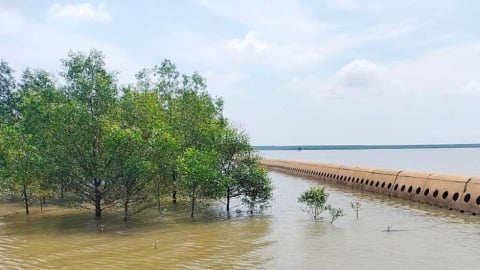 Bảo vệ và phát triển rừng phòng hộ ven biển tỉnh Tiền Giang