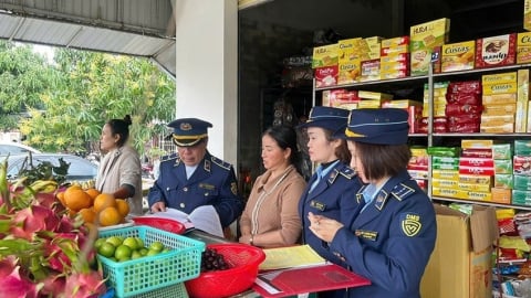 Quyết liệt kiểm tra, xử lý buôn lậu, hàng giả trong lĩnh vực nông nghiệp