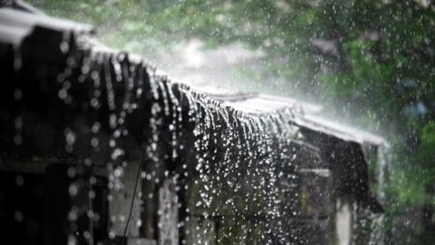 Thời tiết nông vụ ngày 26/05/2025: Mưa rào duy trì tại Bắc Bộ, Bắc Trung Bộ