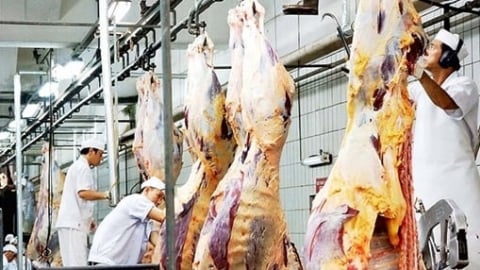 Ổn định sản xuất từ chính sách tốt cho người lao động