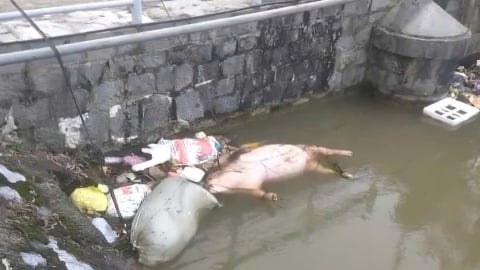 Rác thải đang ‘bức tử’ các dòng kênh thủy lợi