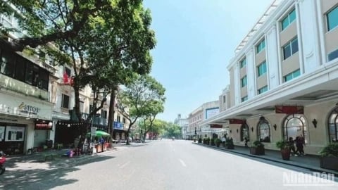 Thời tiết nông vụ ngày 30/07/2025: Nắng nóng ở nhiều vùng trong cả nước