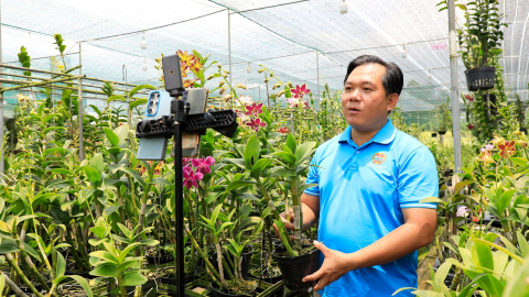 'Chốt đơn' giữa vườn, nông dân Hưng Long bước vào thời đại số