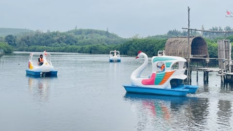 Quảng Ngãi: Khai thác ‘mỏ vàng’ du lịch nông nghiệp, nông thôn