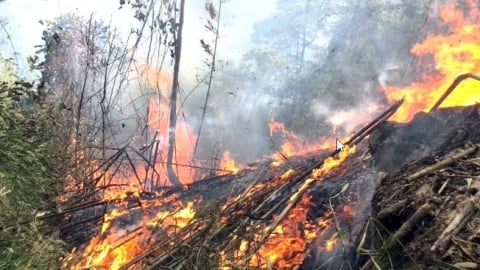 Hà Nội kiểm soát vi phạm bảo vệ môi trường và phòng chống cháy nổ