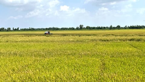 Hà Nội phân cấp quản lý đất đai, nông nghiệp và môi trường