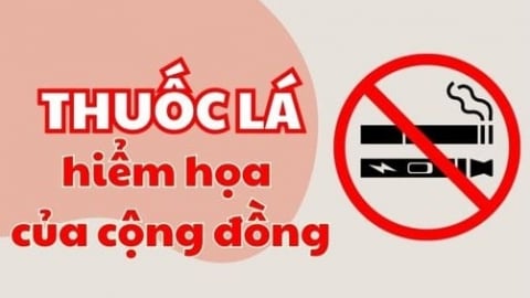 Infographic: Khói thuốc lá - hiểm họa với cộng đồng