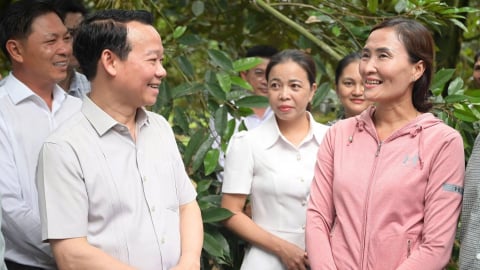 Định hình vị thế mới cho sầu riêng Việt Nam