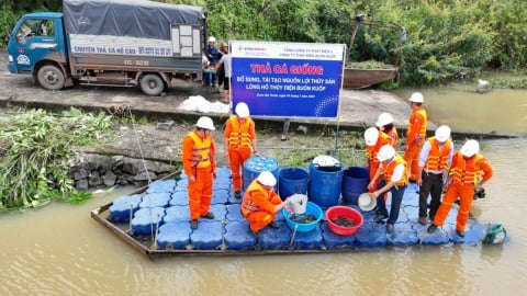 Thả 240 kg cá giống xuống lòng hồ thủy điện Buôn Kuốp