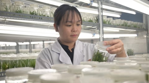 Nhìn thẳng vào ‘sức khỏe’ nhà khoa học: [Bài 5] Nặng gánh mưu sinh