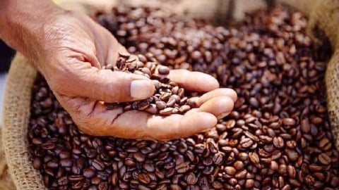 Coffee prices on May 20, 2025: The market rises sharply