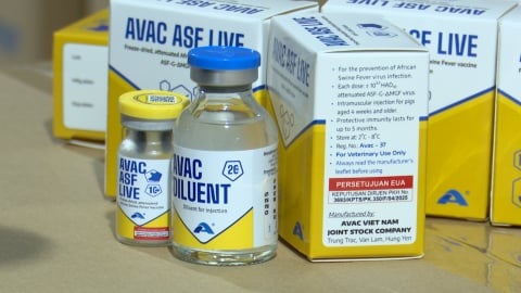 Vaccine ASF tiếp tục chinh phục thị trường quốc tế