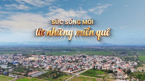 Sức sống mới từ những miền quê