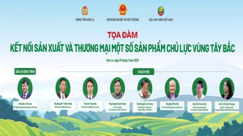 Kết nối sản xuất và thương mại nông lâm sản vùng Tây Bắc