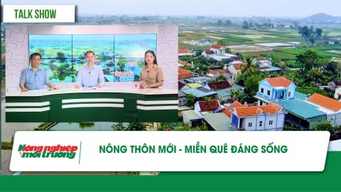 Xây dựng nông thôn mới hiện đại, toàn diện, bền vững, thích ứng biến đổi khí hậu