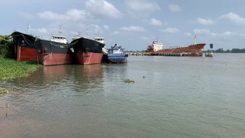 Mưa dầm nhiều ngày, xâm nhập mặn ở Vĩnh Long, Trà Vinh giảm rõ rệt