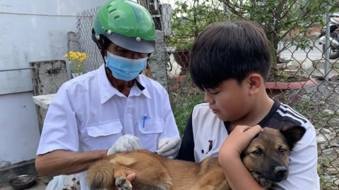 102 cộng tác viên thú y xã chờ việc sau giải thể huyện