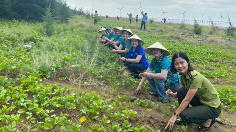 Trồng 13.000 cây phi lao làm giàu rừng phòng hộ