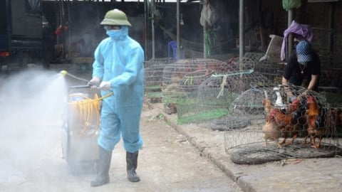 Hơn 50.000 người dân Bắc Ninh tham gia tổng vệ sinh môi trường