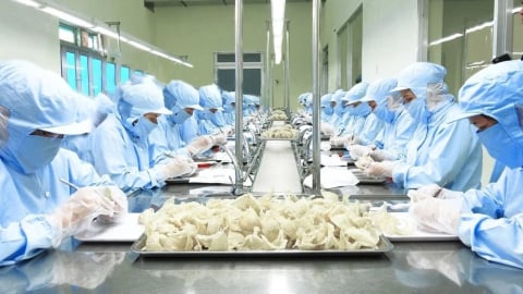 Phân cấp giám sát dịch bệnh tổ yến: Bước then chốt thúc đẩy xuất khẩu